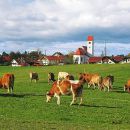 Leben in Lengenwang